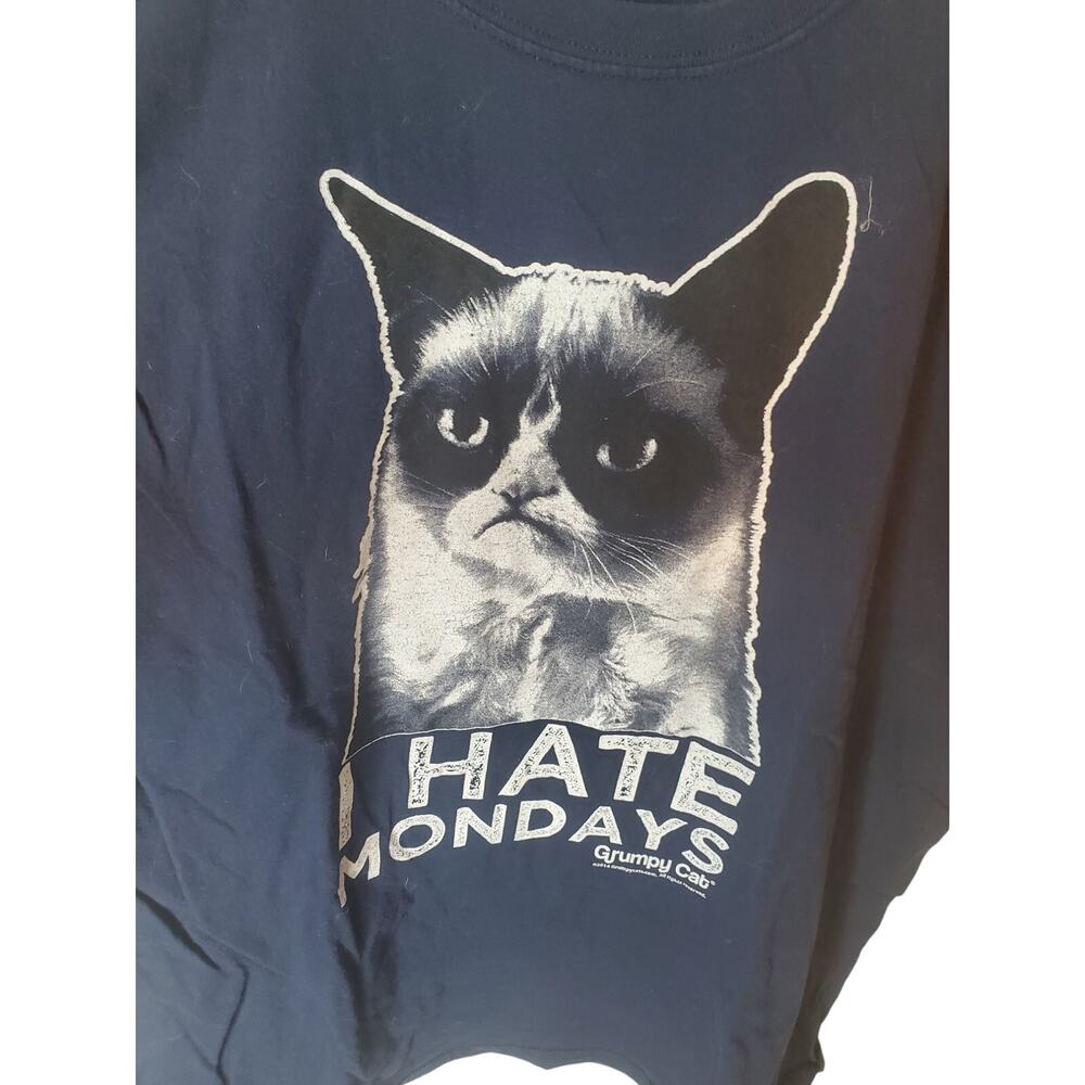 Grumpy Cat Gildan Dark Blue Graphic Tee, XL - Picture 2 of 5